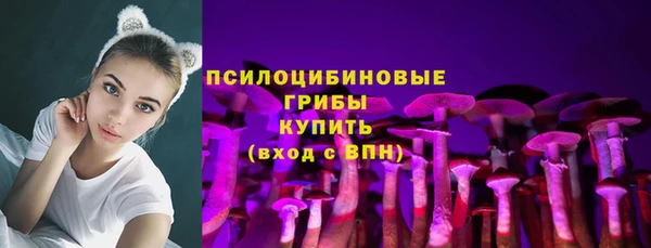 соль ск Осташков
