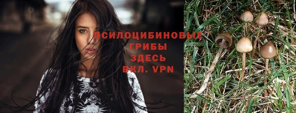 соль ск Осташков