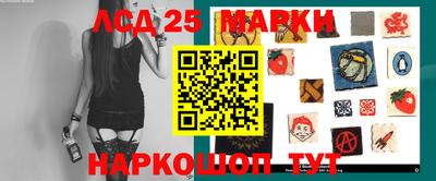 индика Ставрополь