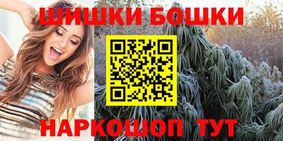 индика Ставрополь