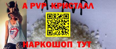эйфоретик Тара
