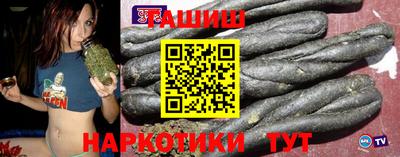 индика Ставрополь