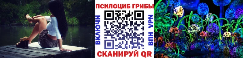 хочу   Тамбов  Псилоцибиновые грибы MAGIC MUSHROOMS 