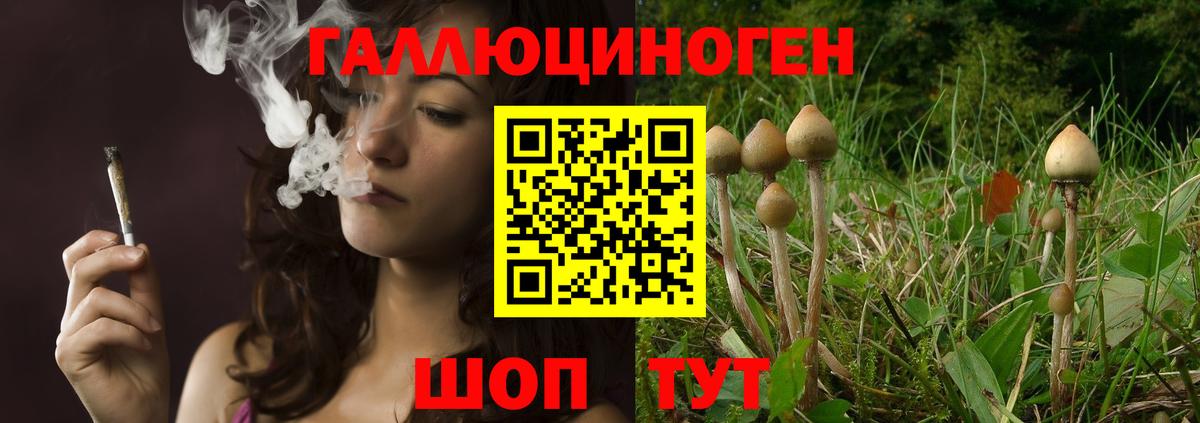 Галлюциногенные грибы мухоморы  Вход с VPN  Псилоцибиновые грибы мицелий  Тамбов 
